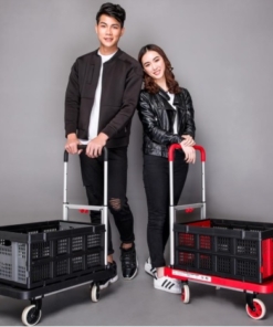 Xe đẩy hàng nhựa XBH-0135 8 Untitled